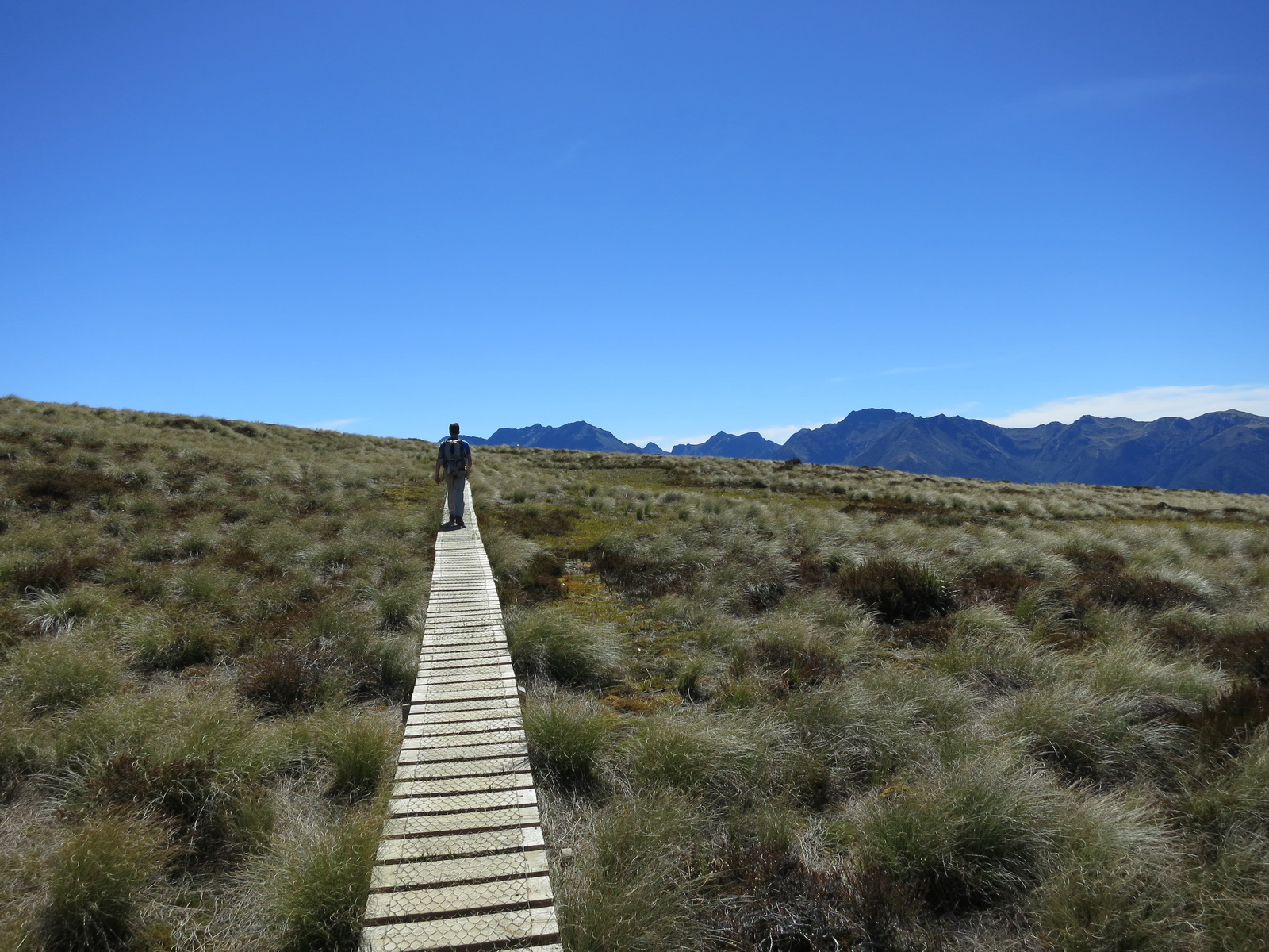 New zealand south island 033