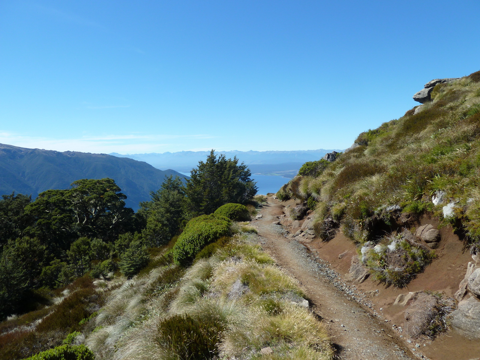 New zealand south island 036