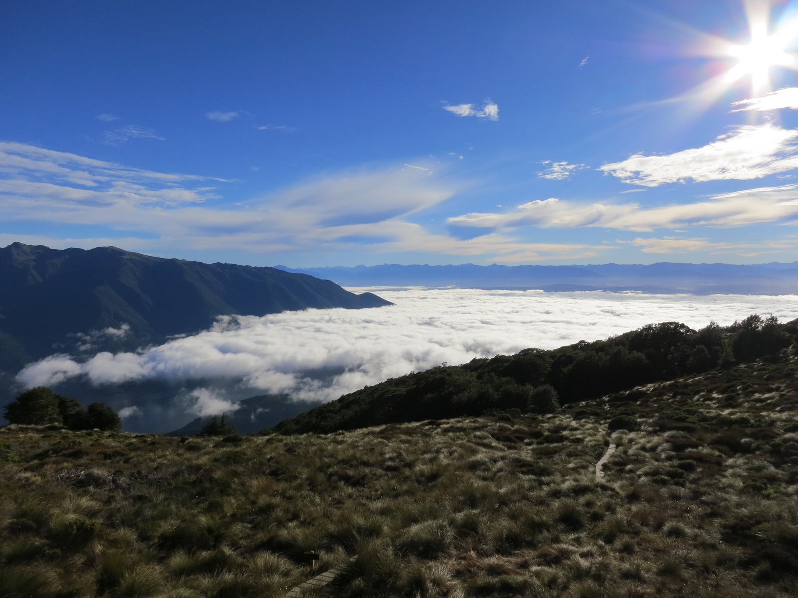 New zealand south island 046
