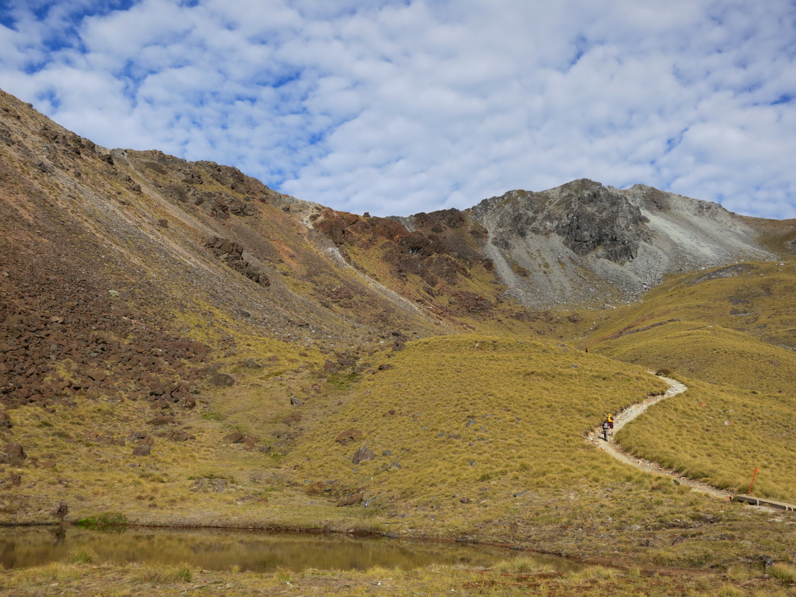New zealand south island 049