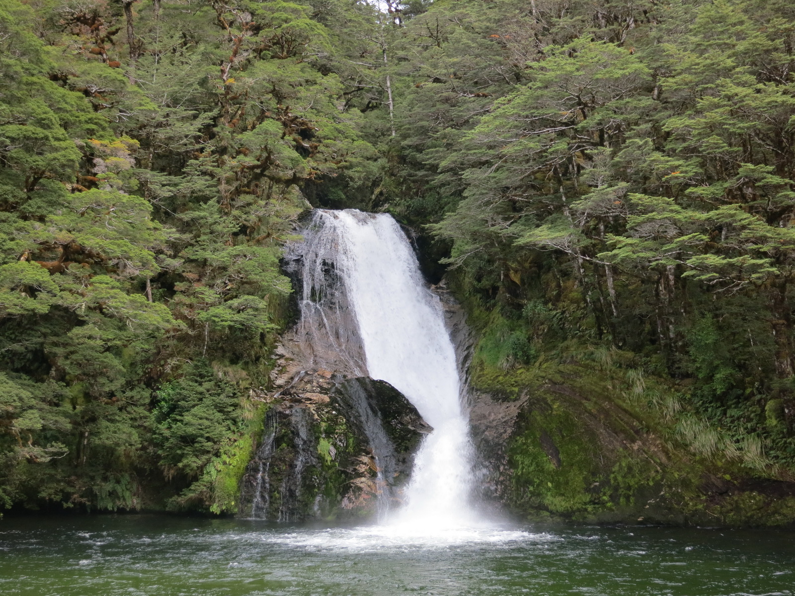 New zealand south island 059