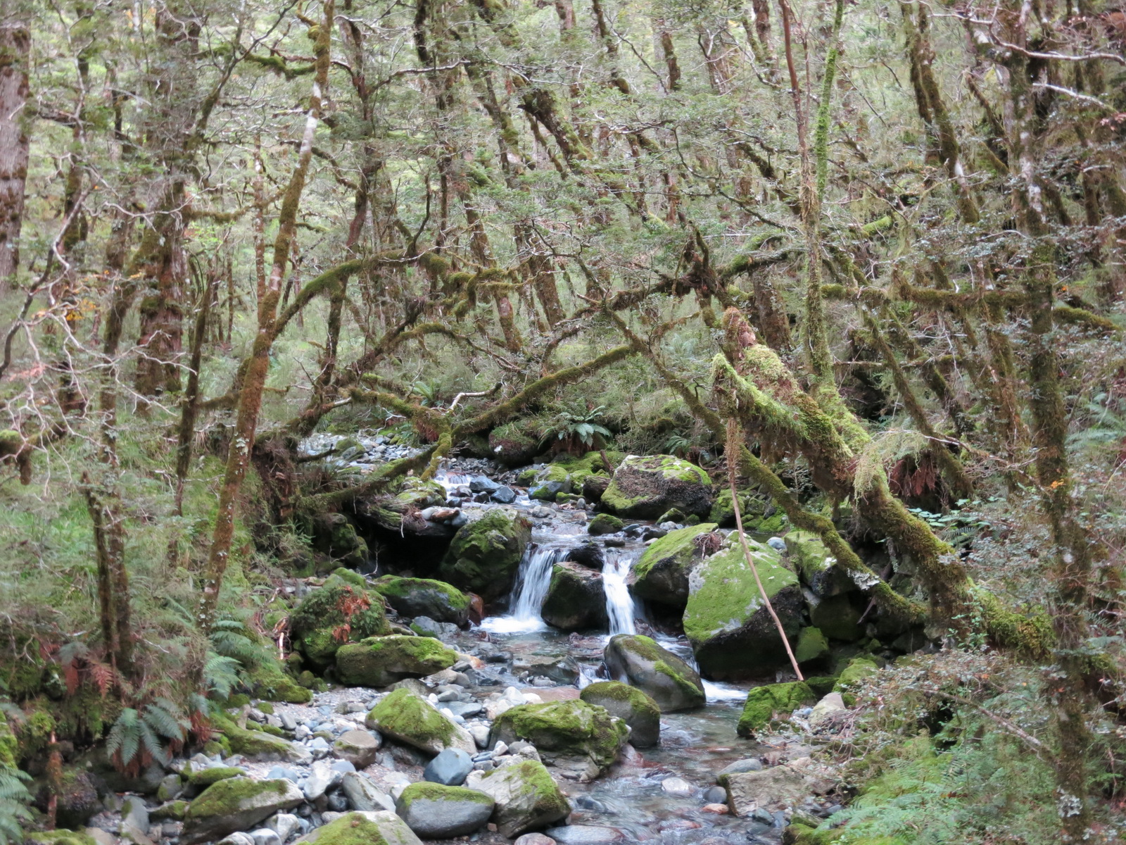 New zealand south island 061