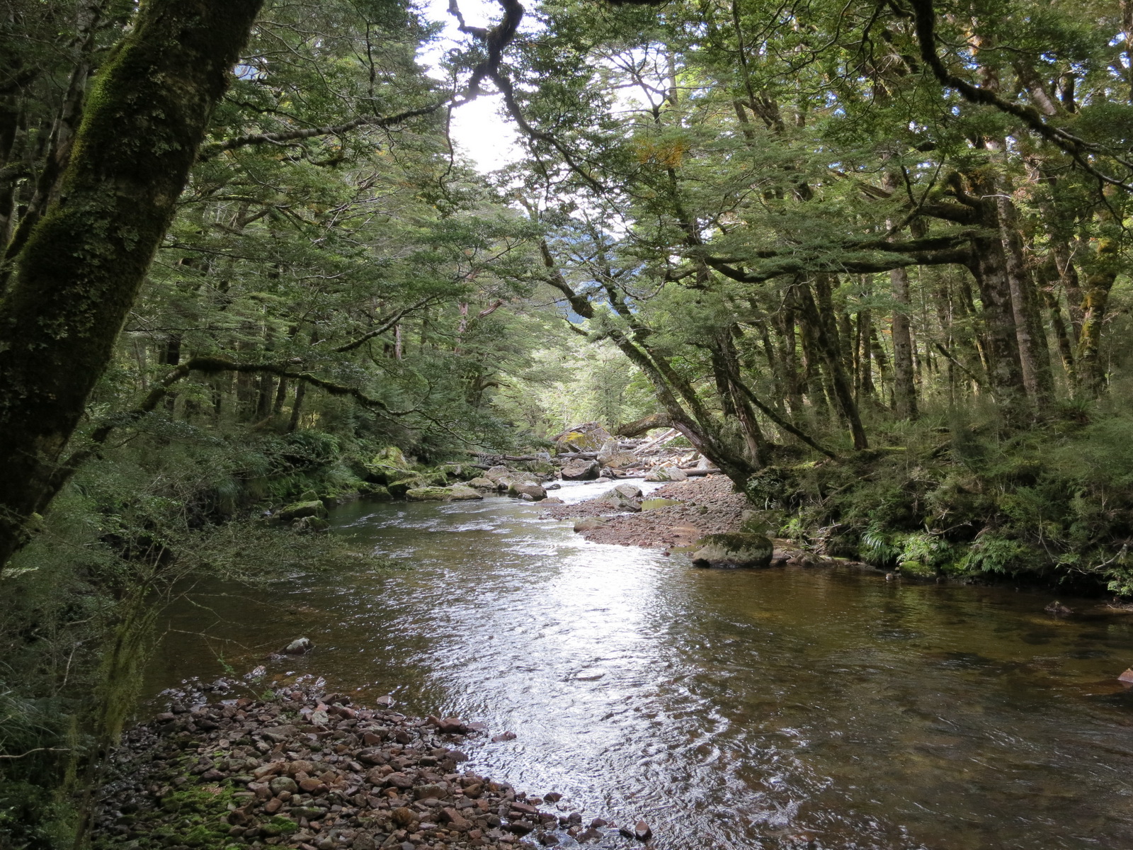 New zealand south island 064