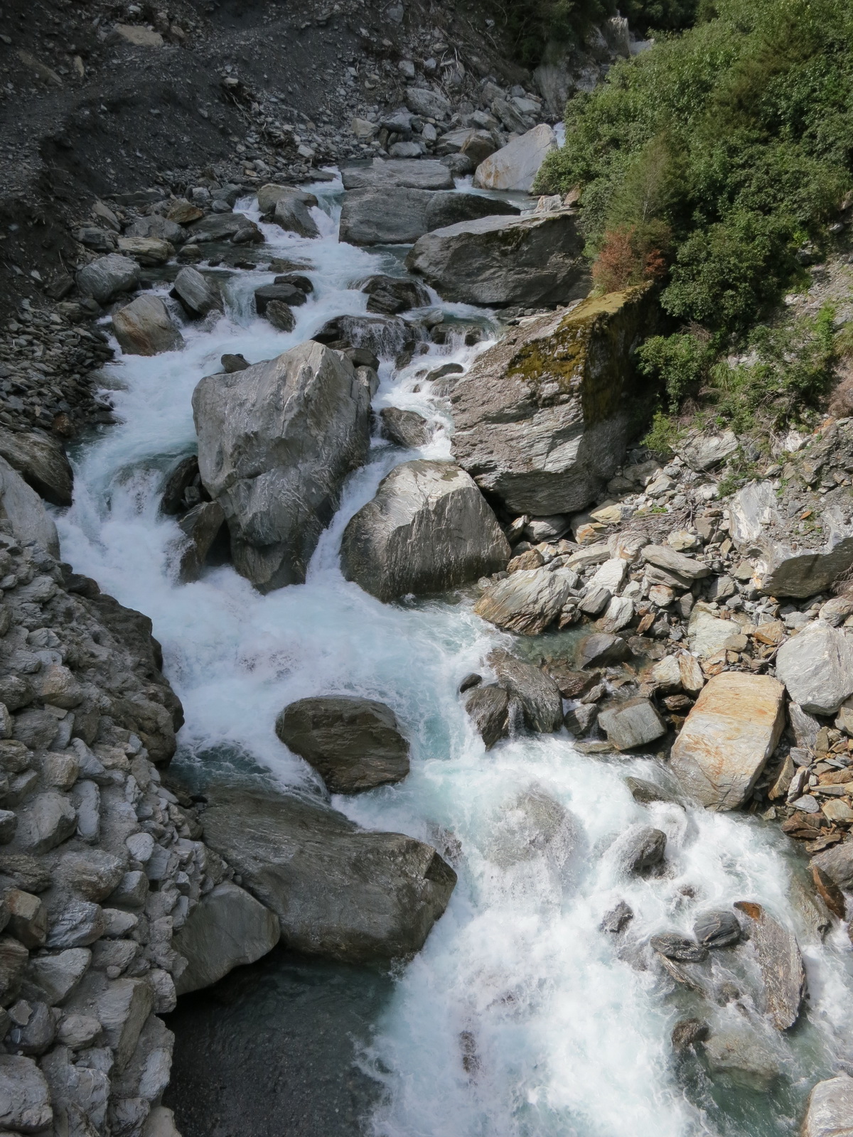 New zealand south island 086
