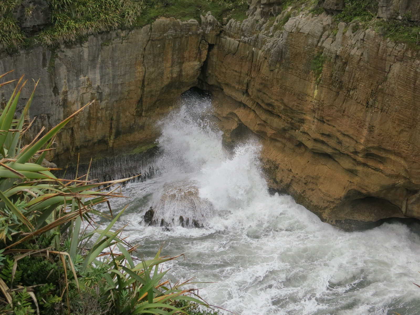 New zealand south island 093