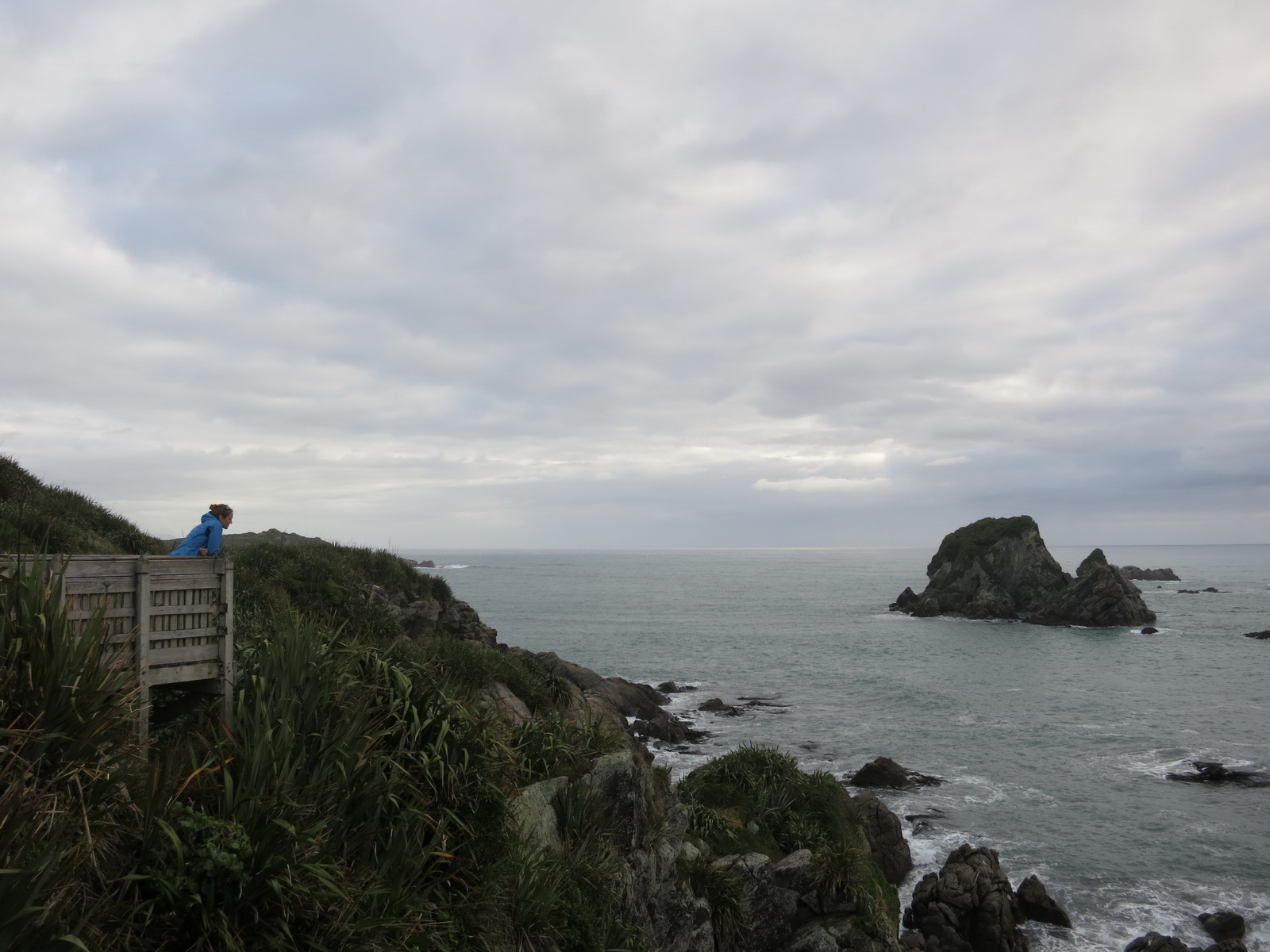 New zealand south island 100