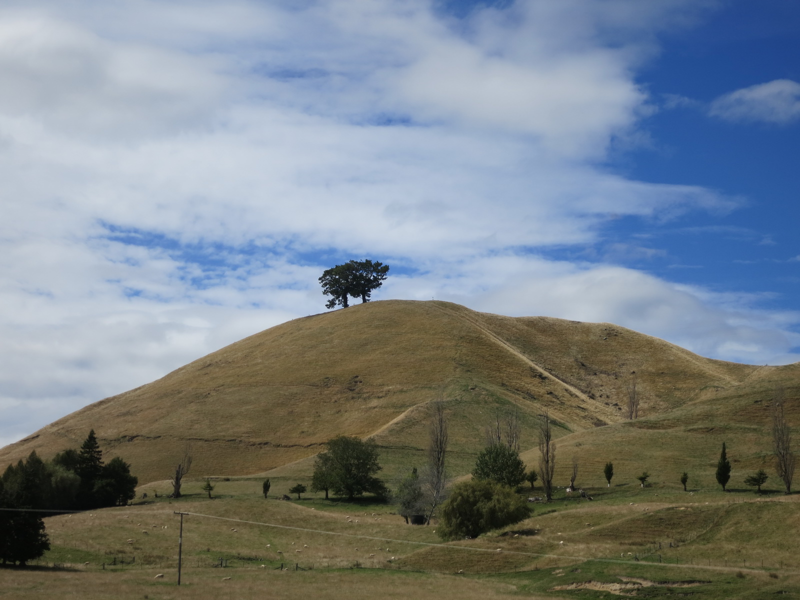 New zealand south island 146