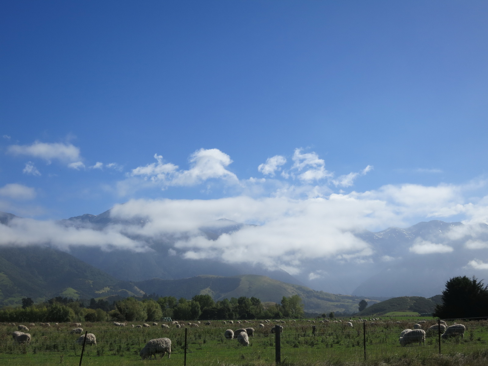 New zealand south island 162