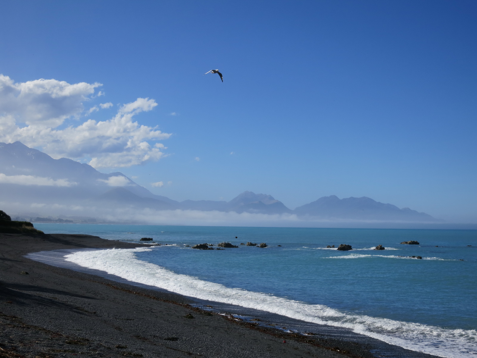 New zealand south island 163