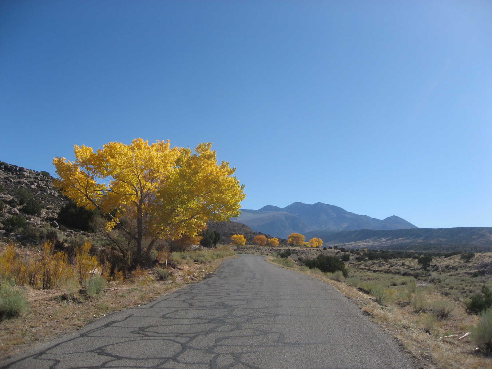 La sal loop 0008