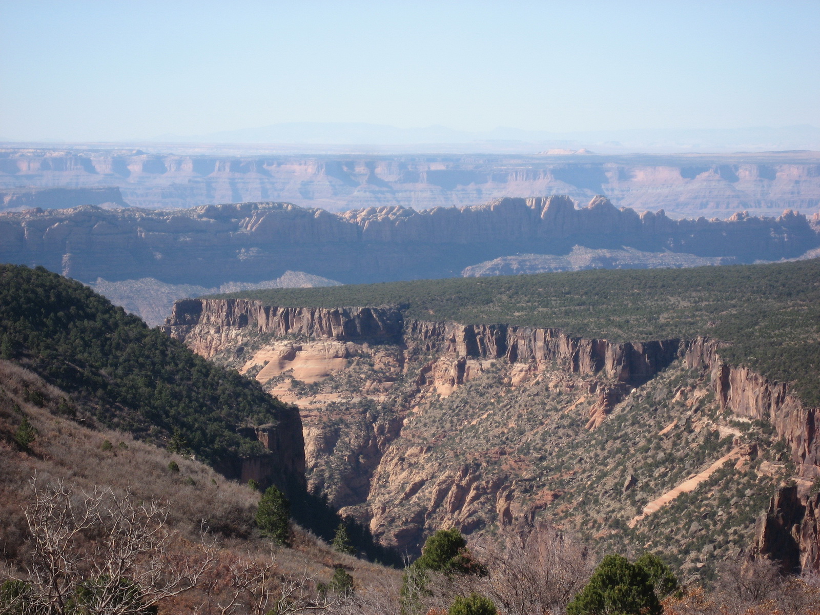 La sal loop 0009