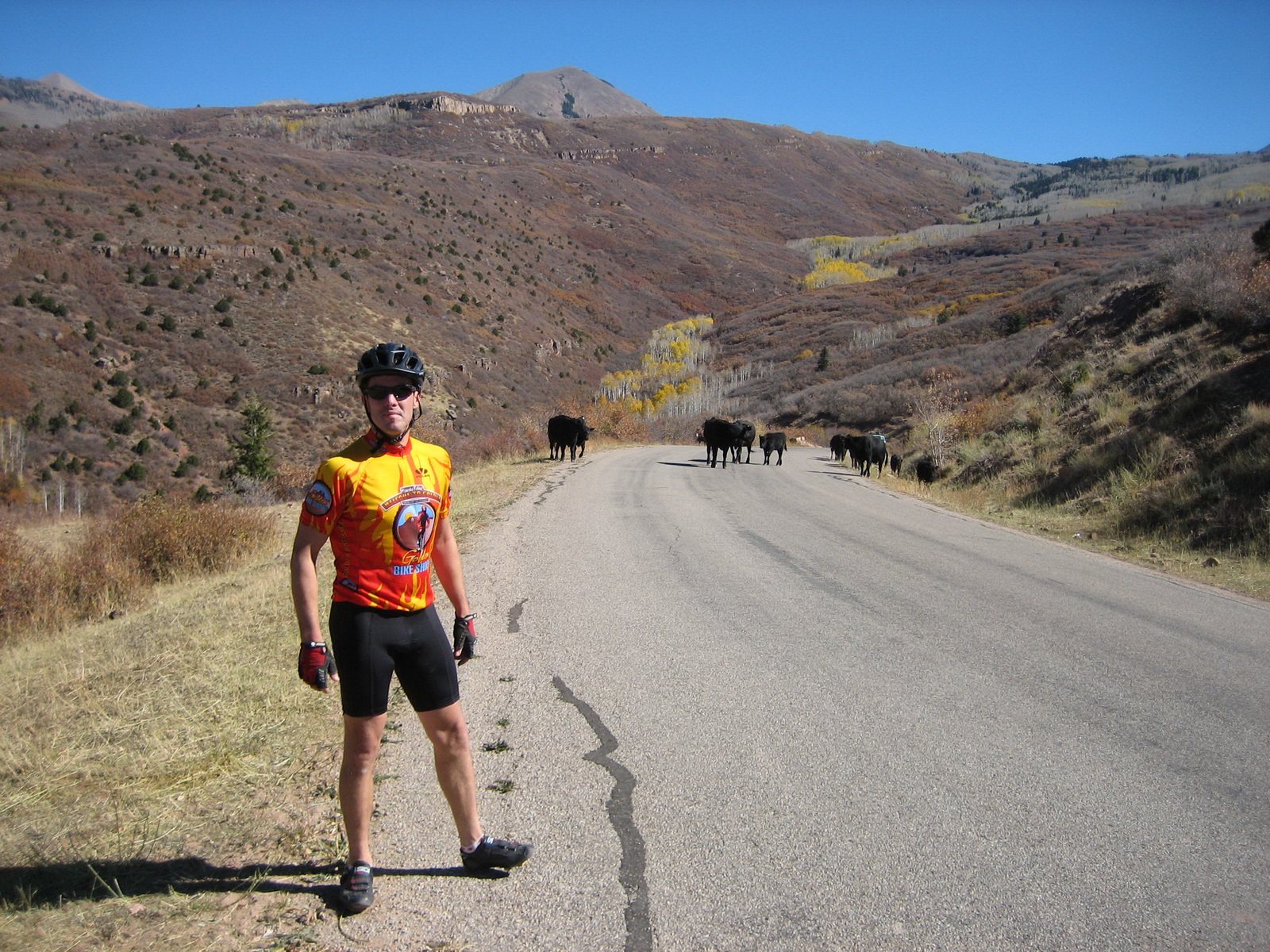 La sal loop 0010