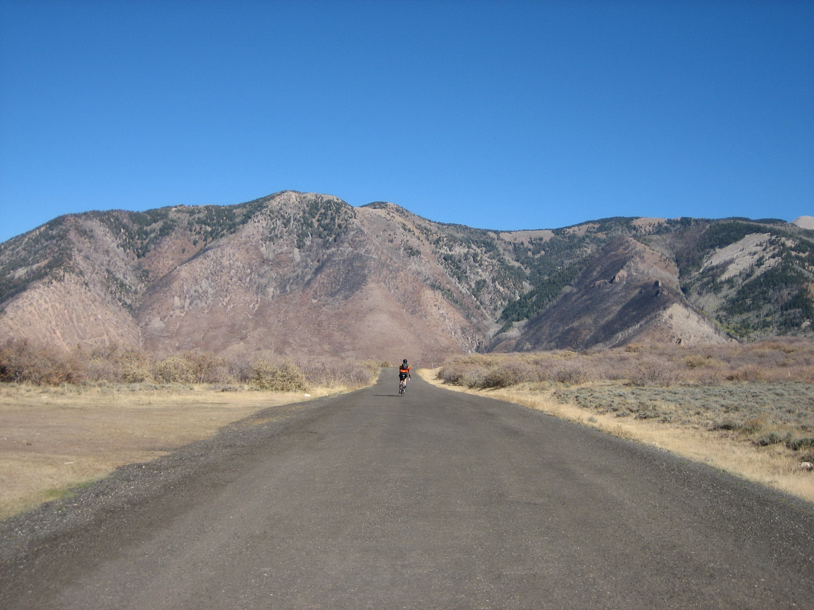 La sal loop 0013