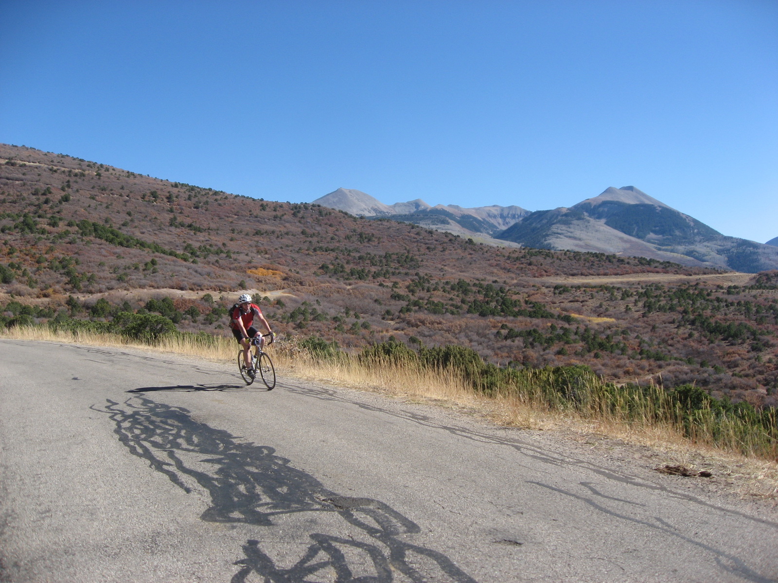 La sal loop 0016