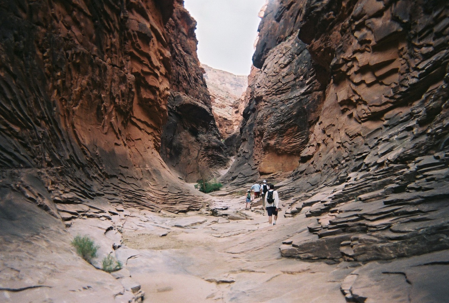 Grand canyon 107
