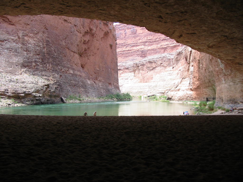 Grand canyon 113
