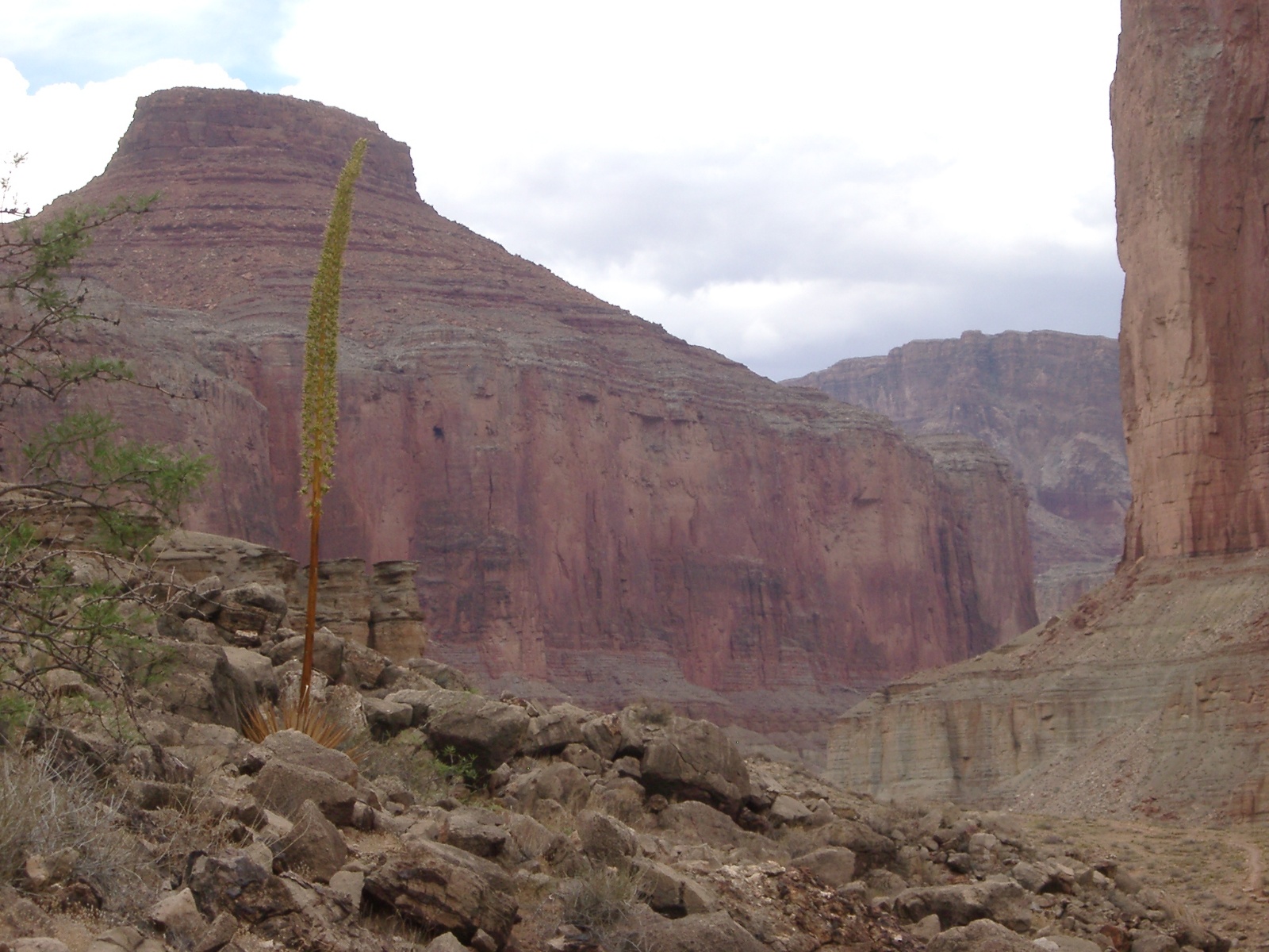 Grand canyon 117a