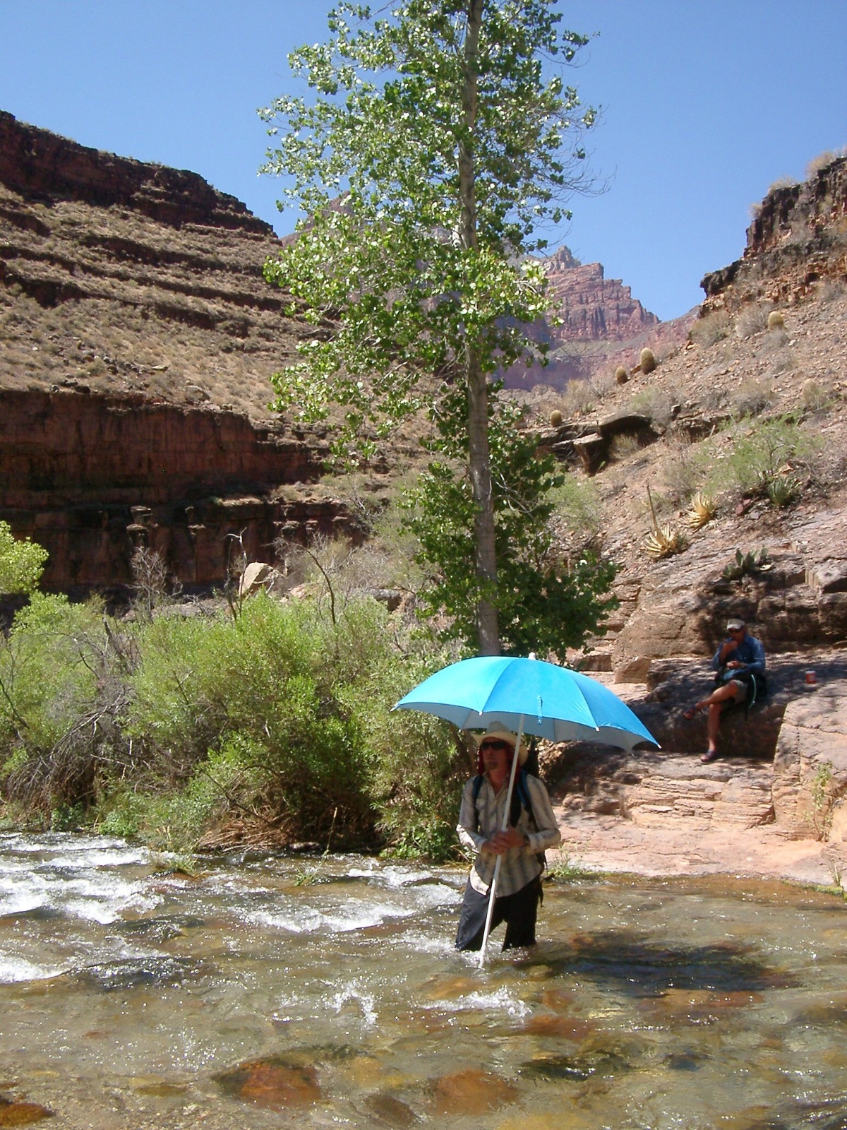 Grand canyon 121