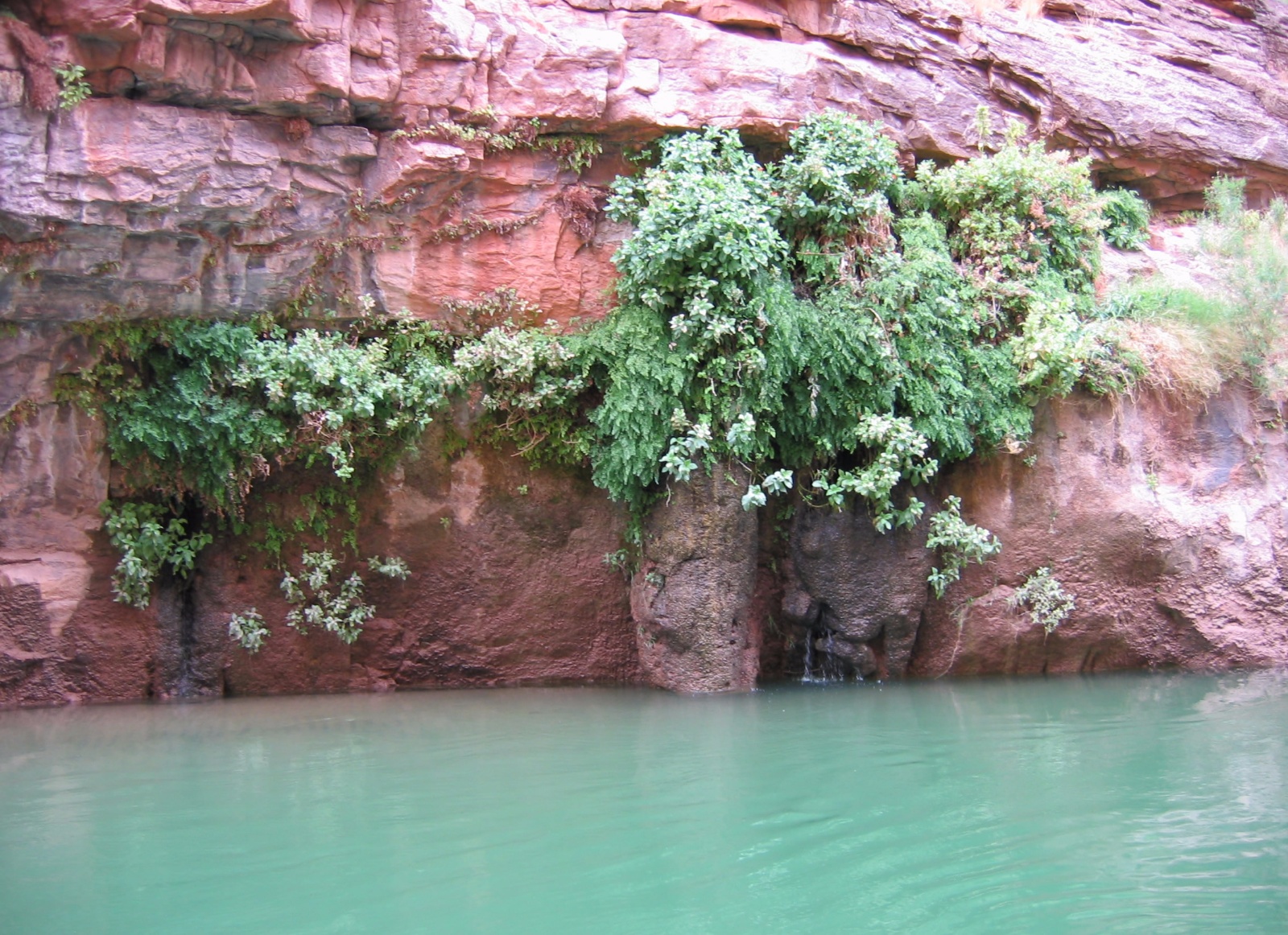 Grand canyon 13