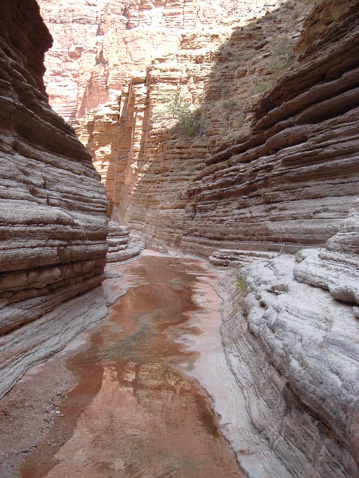 Grand canyon 135