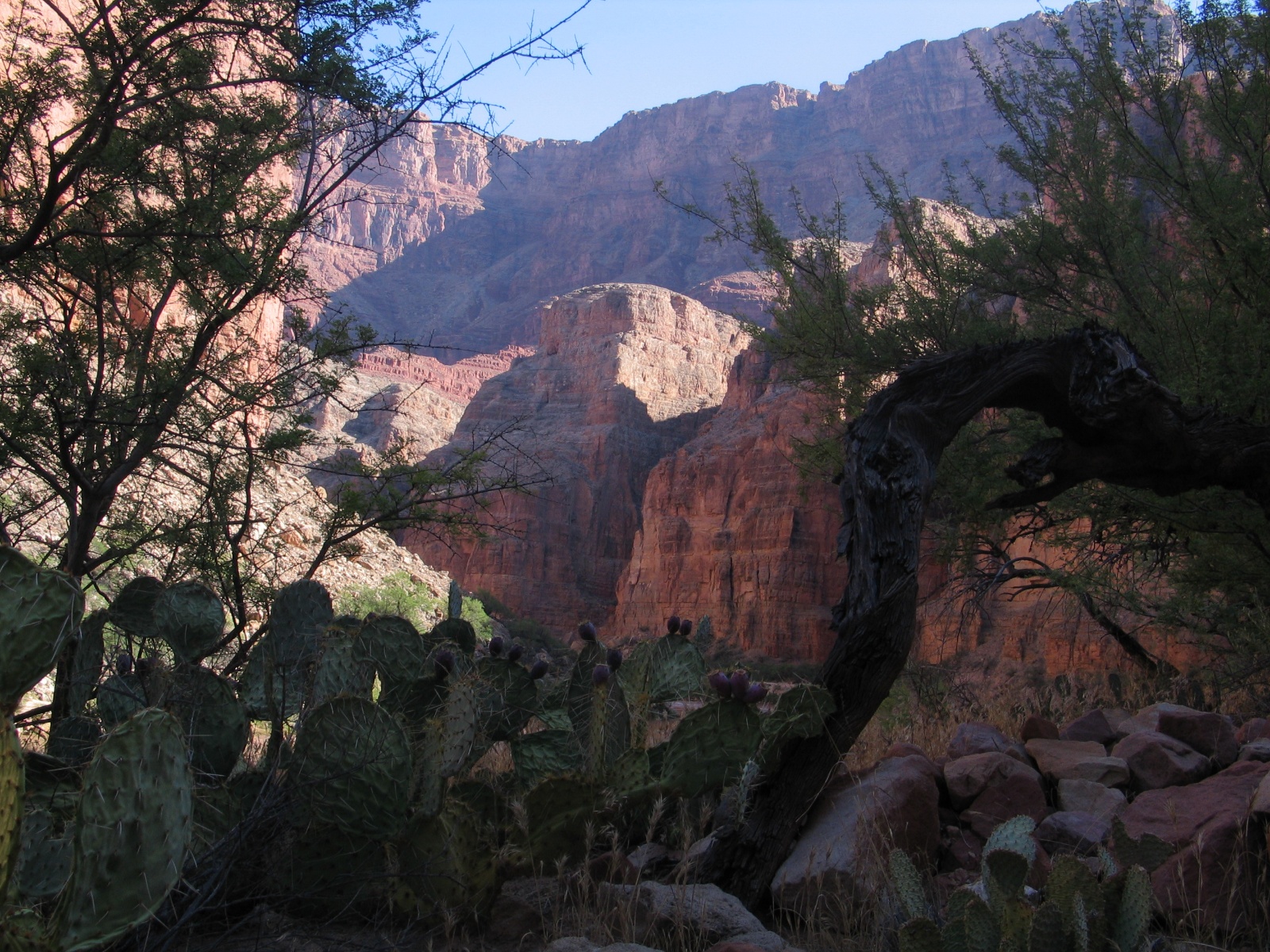 Grand canyon 39