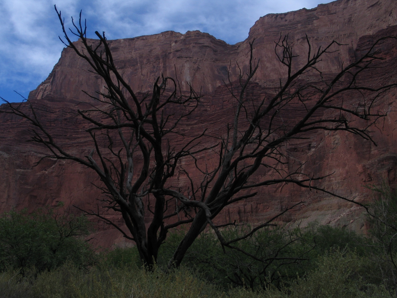 Grand canyon 42