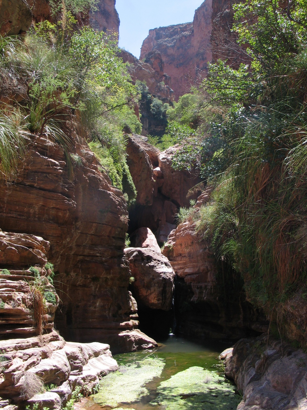 Grand canyon 79