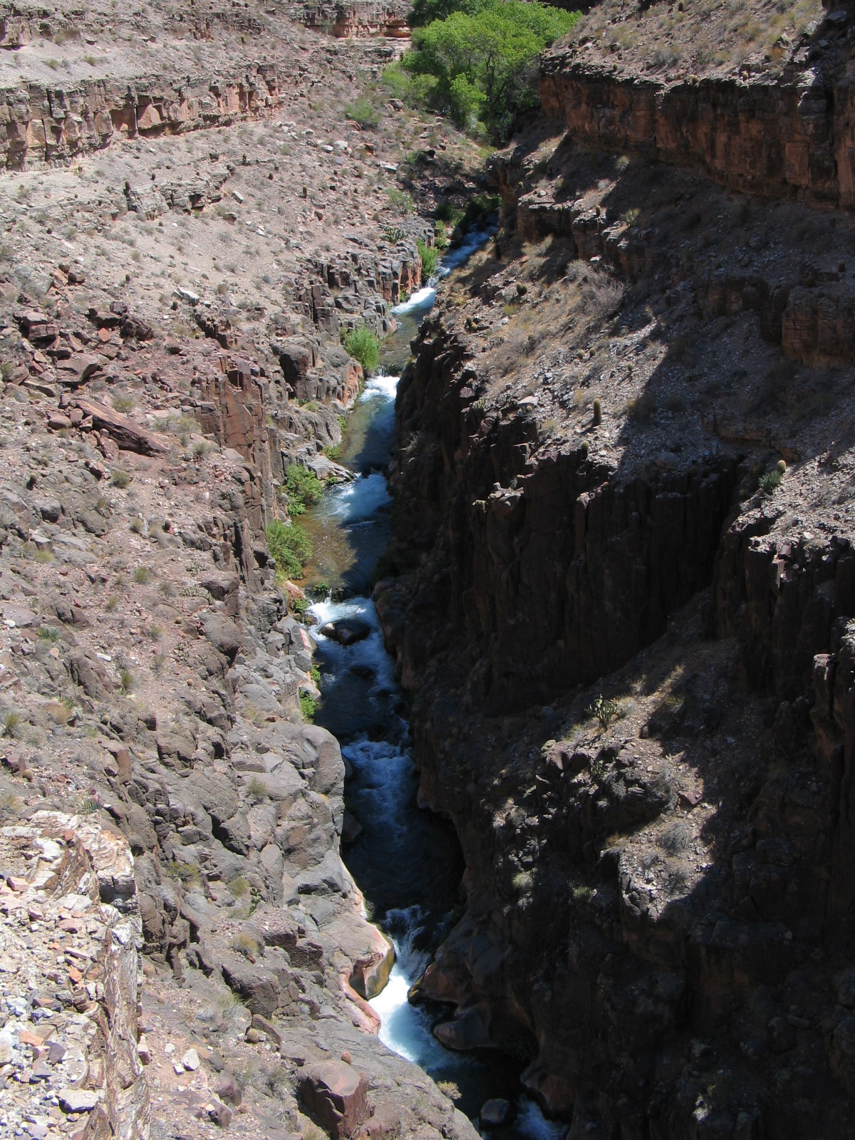Grand canyon 81