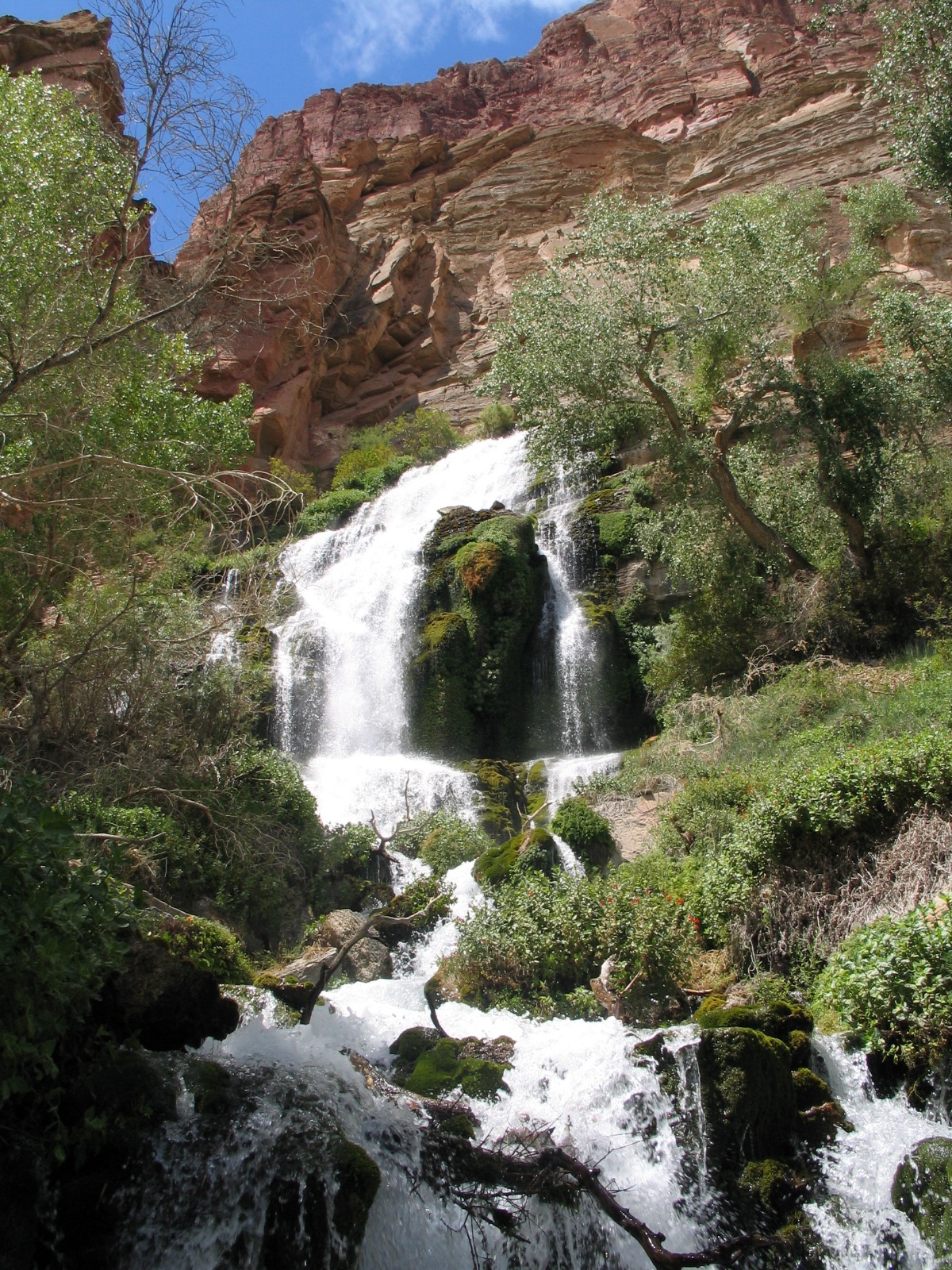 Grand canyon 84