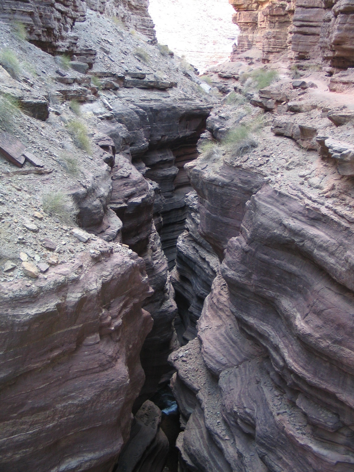Grand canyon 89