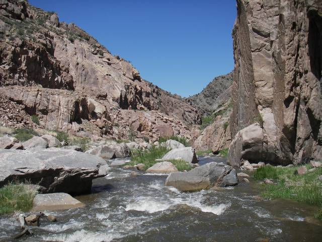 Grapecreek0011