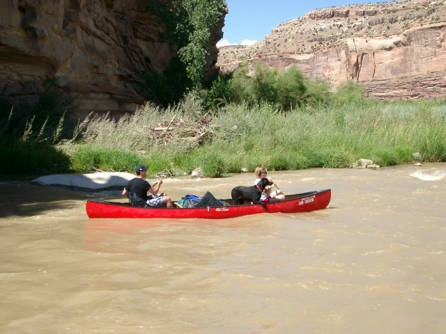 Ruby horse theif 31