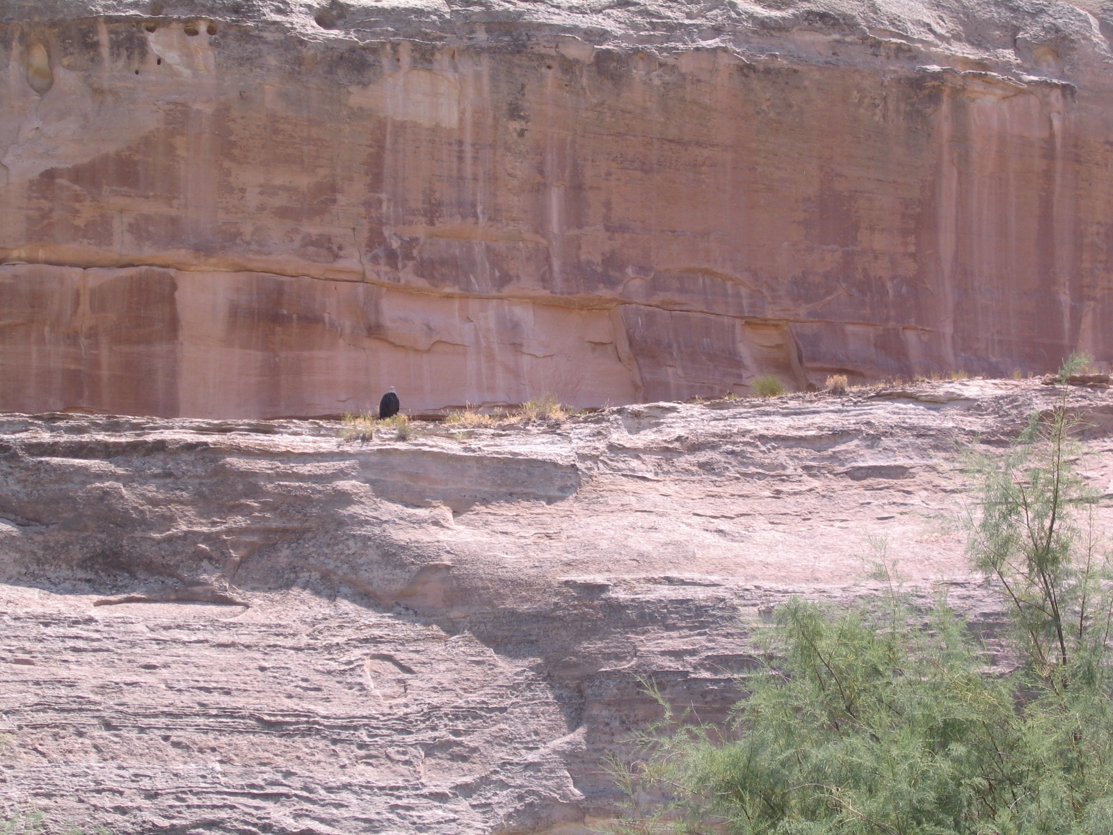 Westwater 02