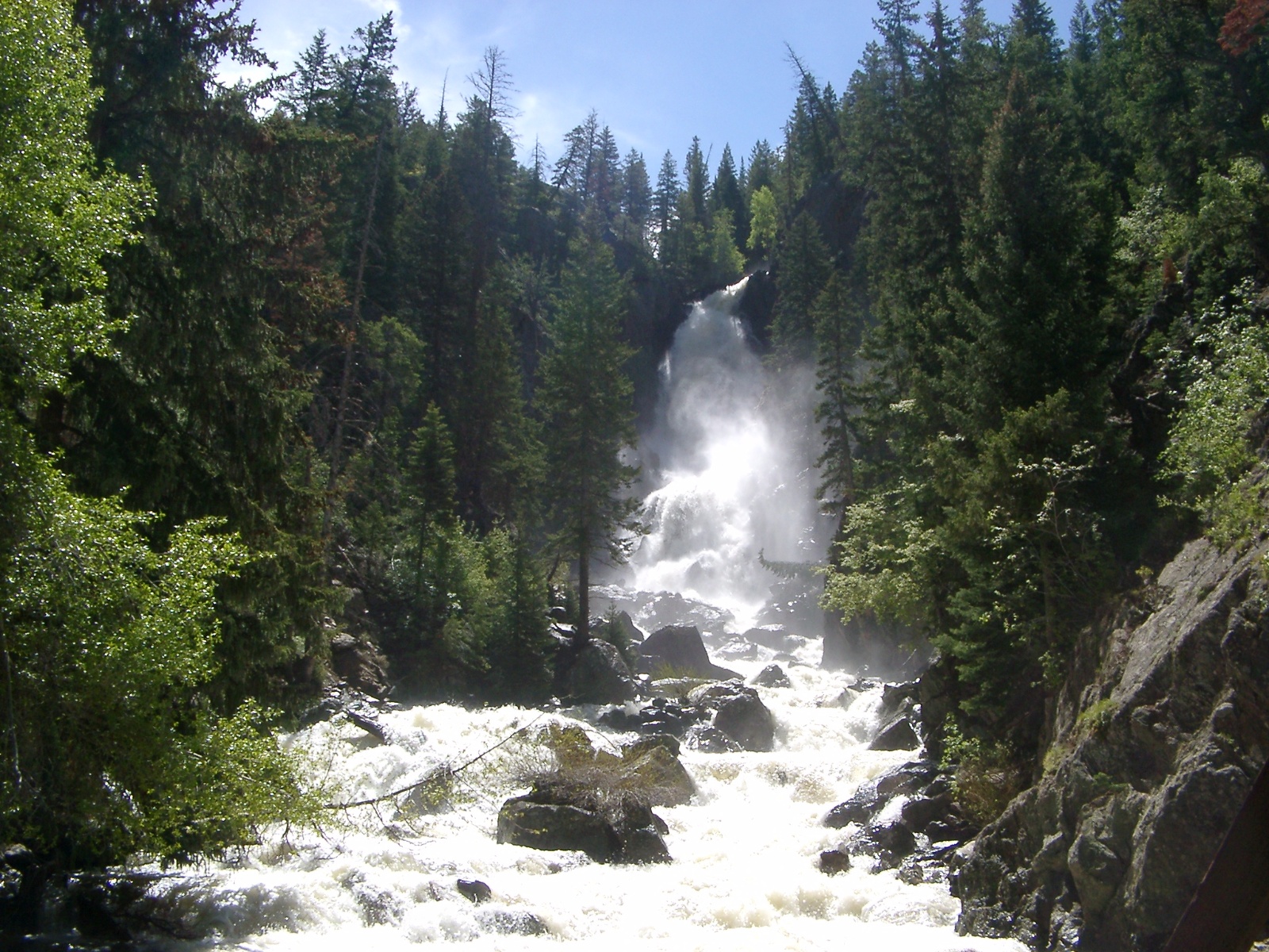 IMGP0071