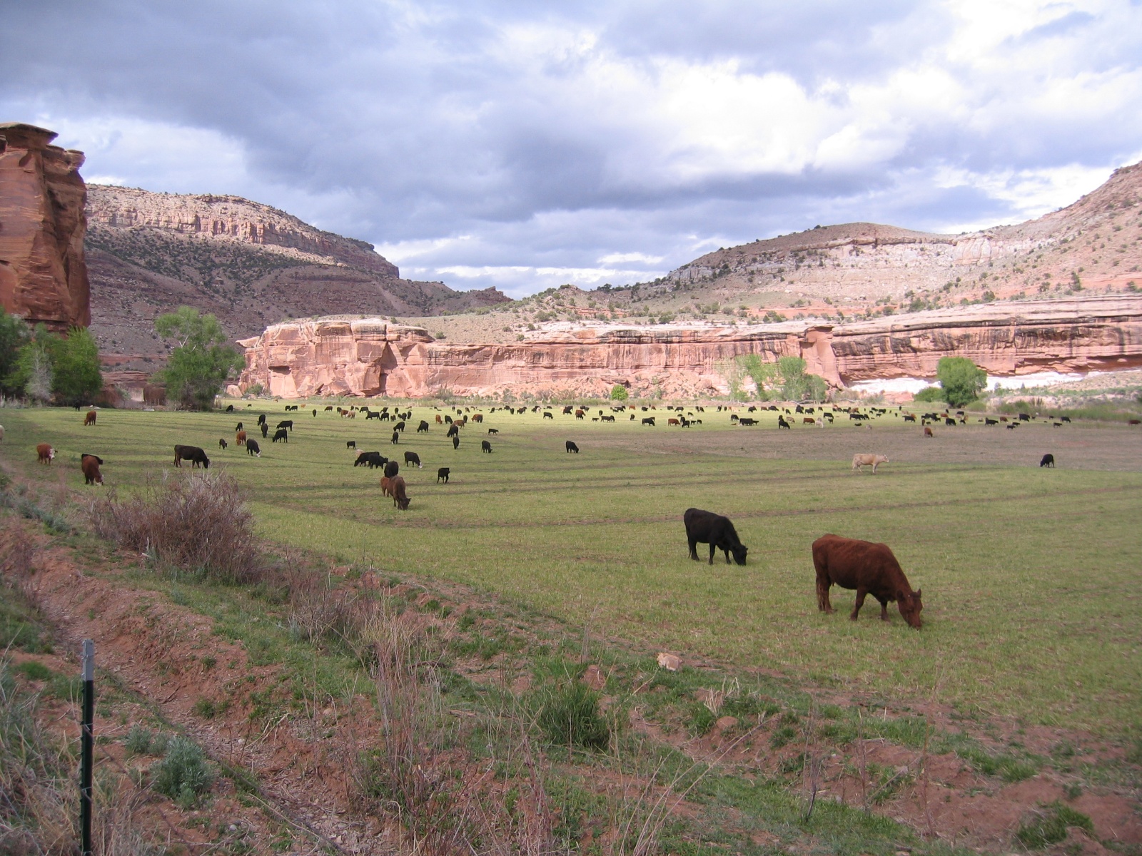 Escalante0035