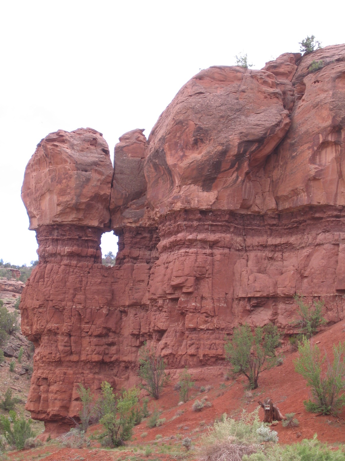Escalante0036