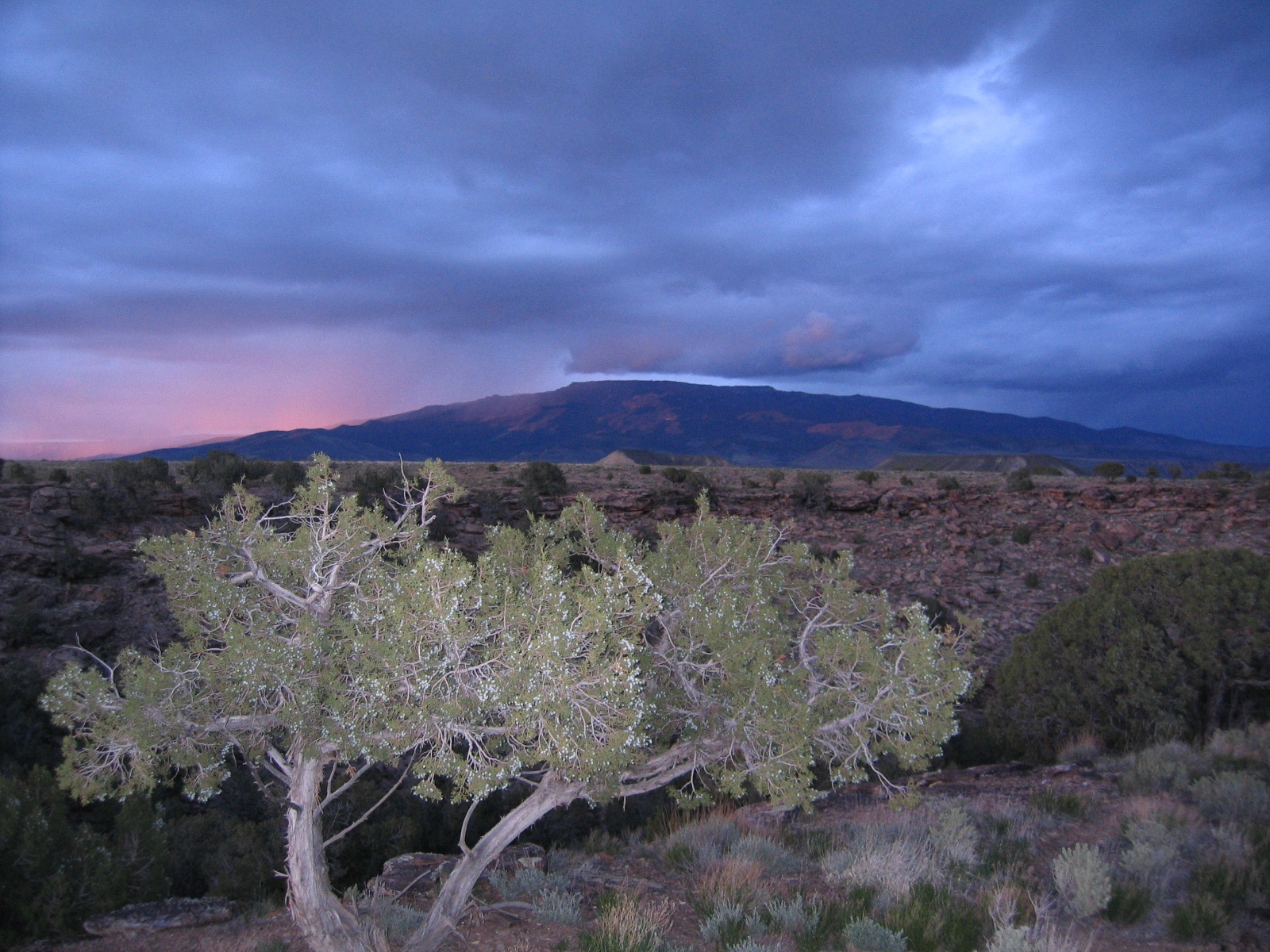 Escalante0045