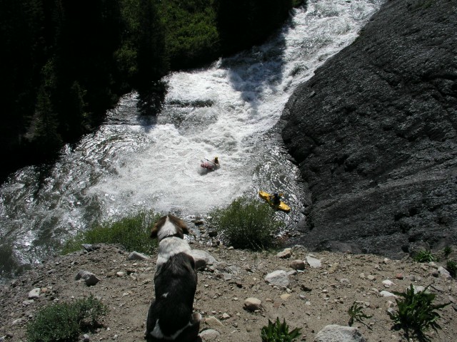 P1010046