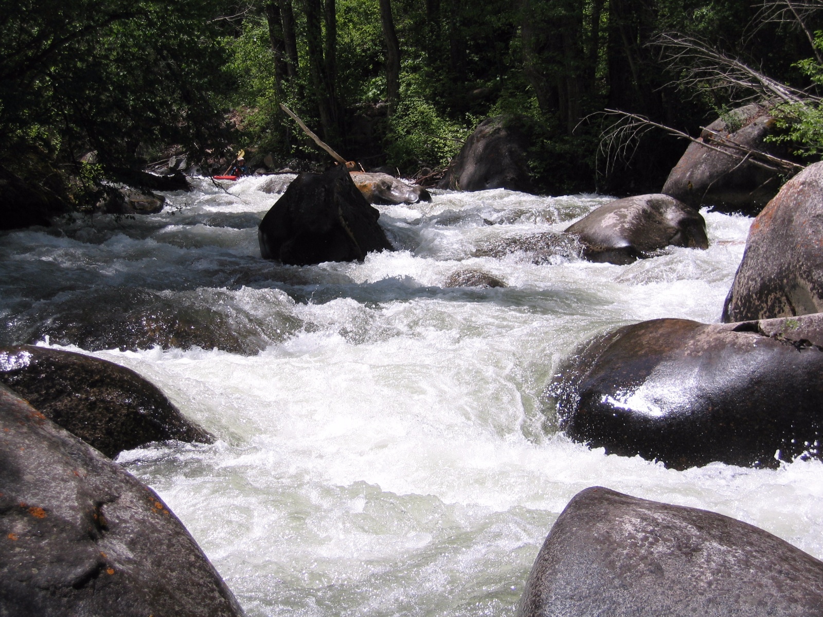 Castlecreek0018