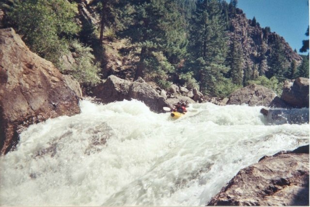 Bailey0046