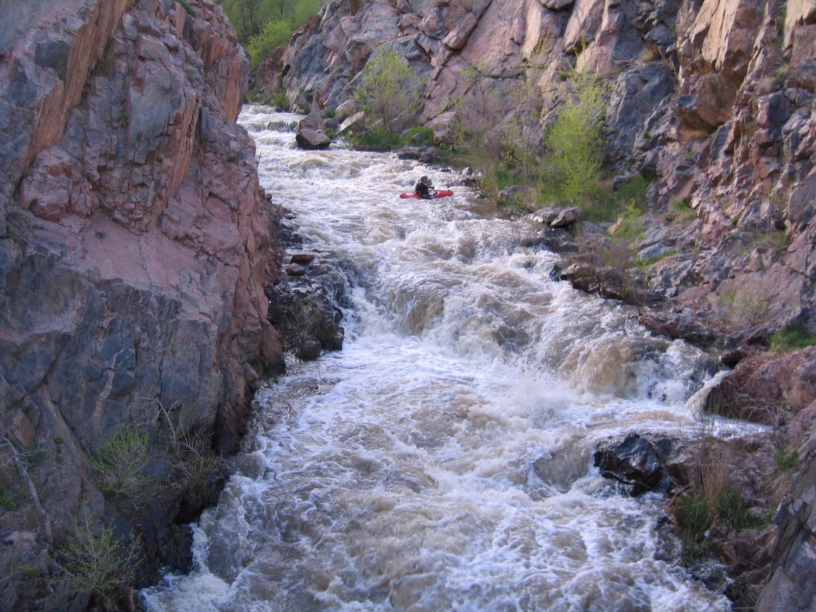 Bearcreek0004