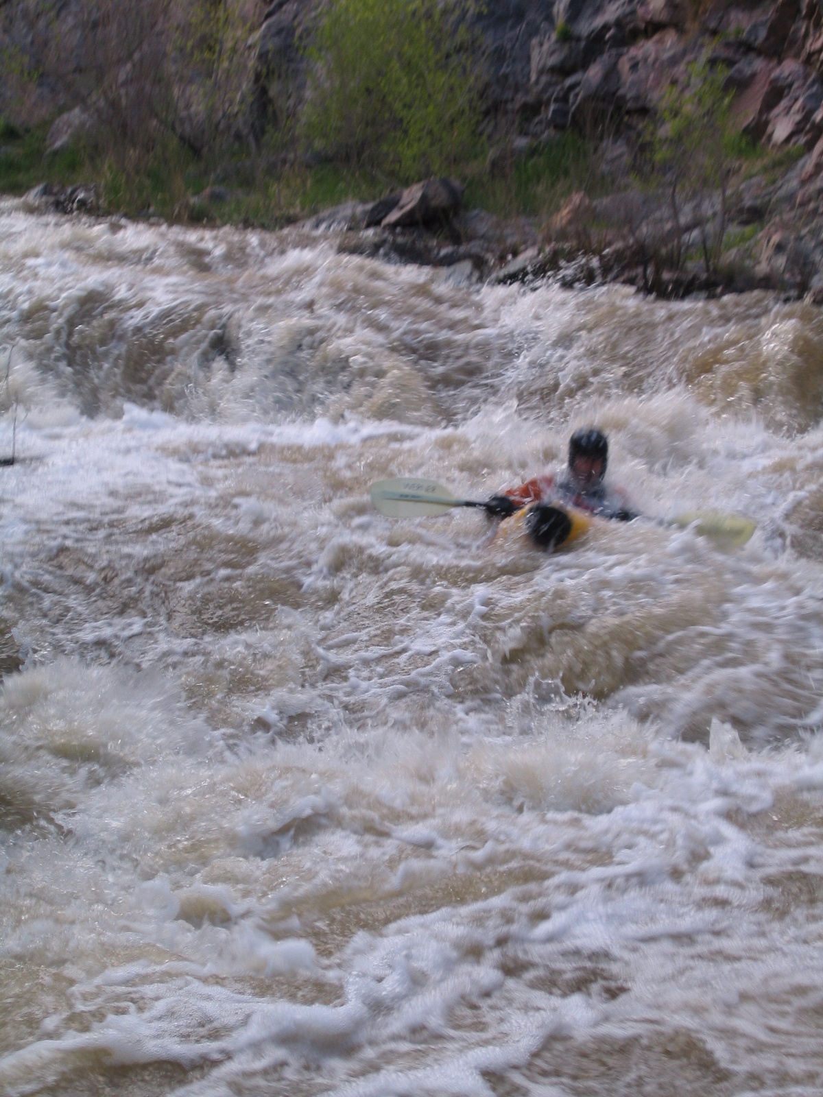 Bearcreek0008