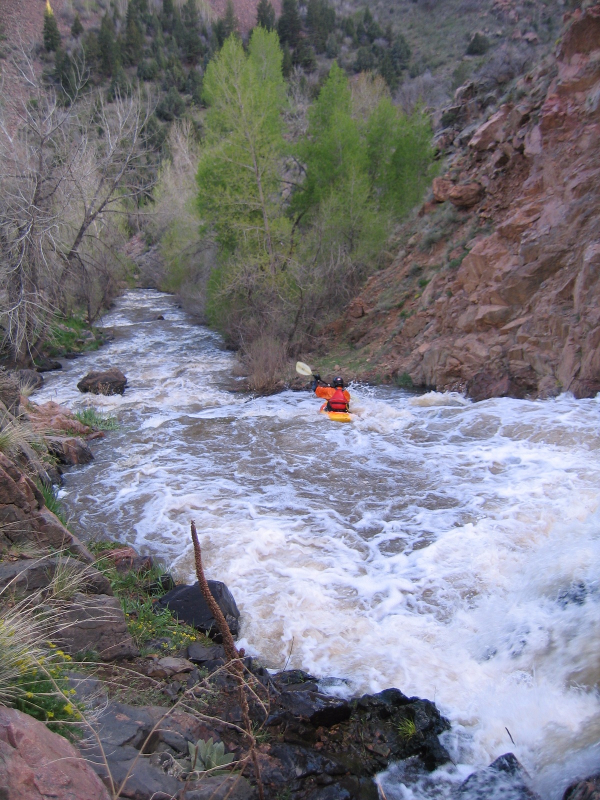 Bearcreek0009