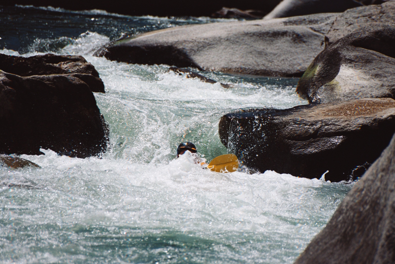 Loon06