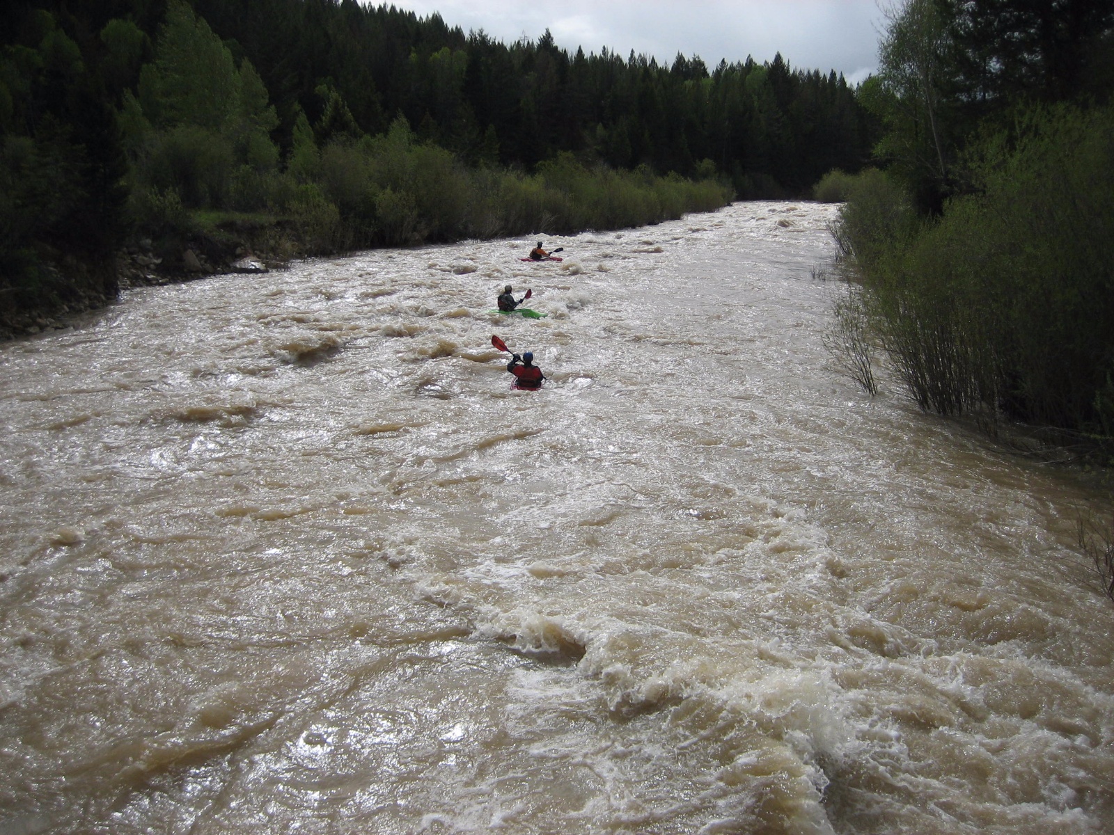 Gros ventre 0003