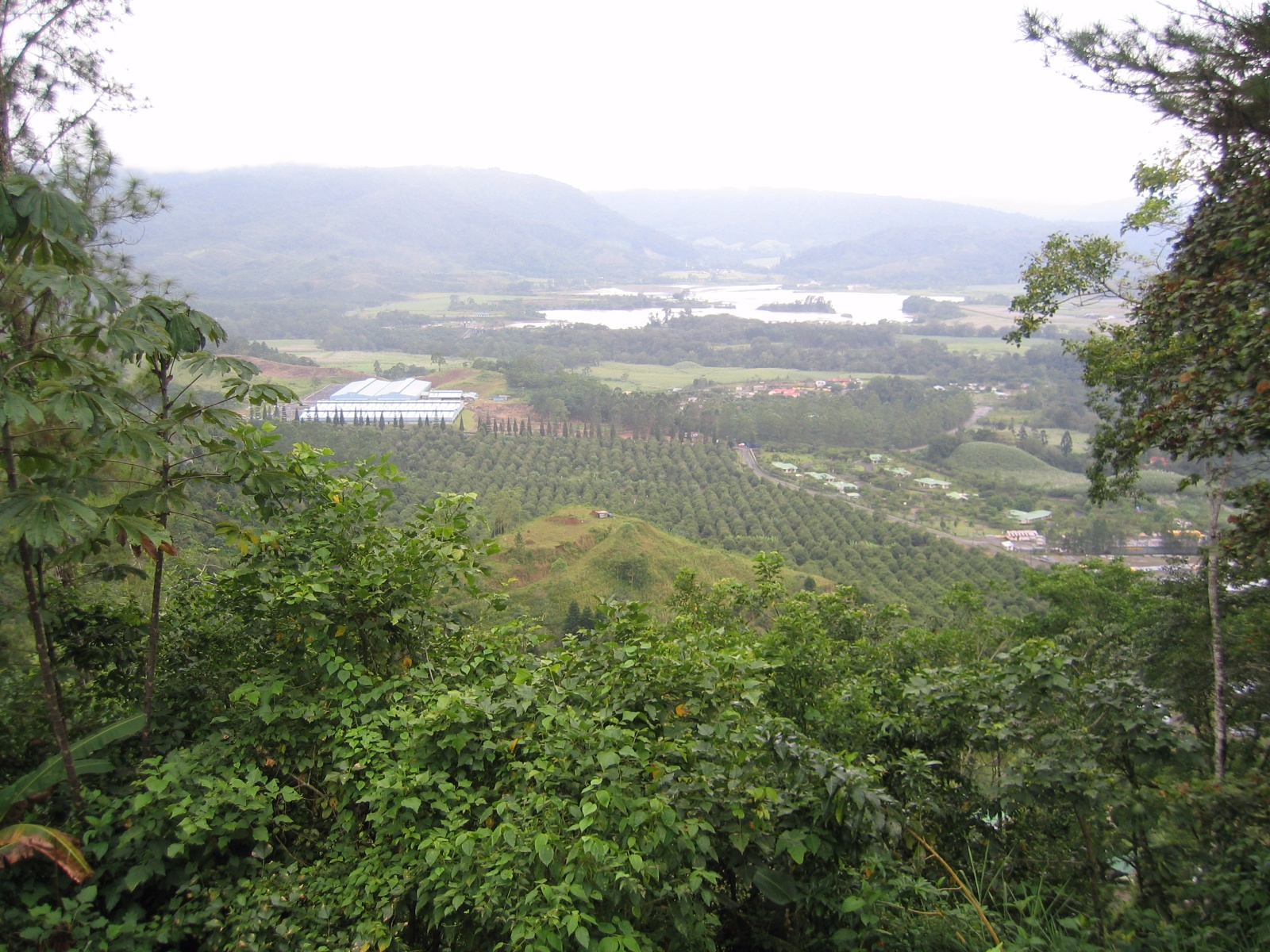 Costarica020
