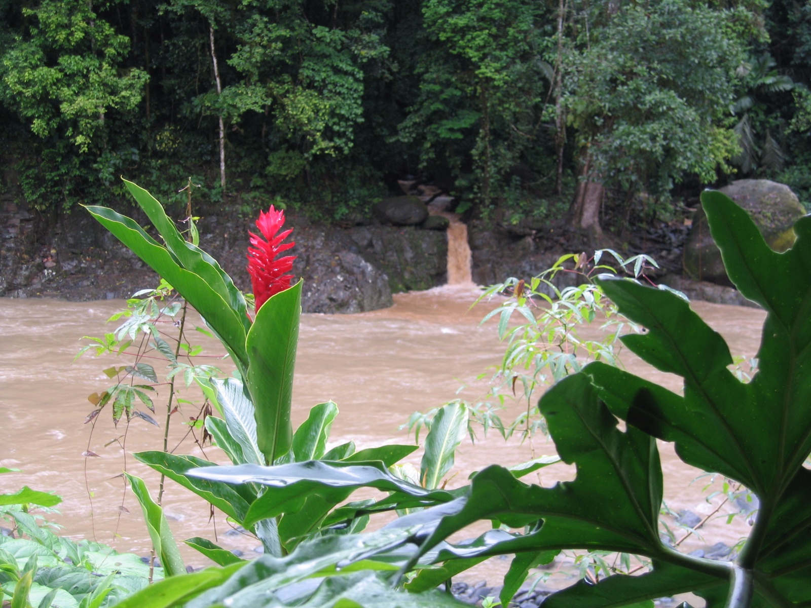 Costarica028