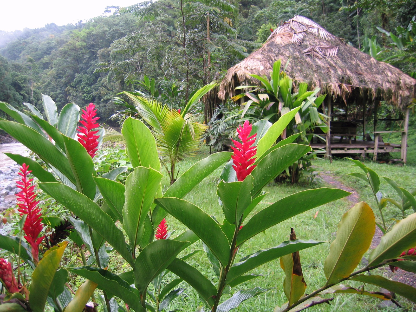Costarica037