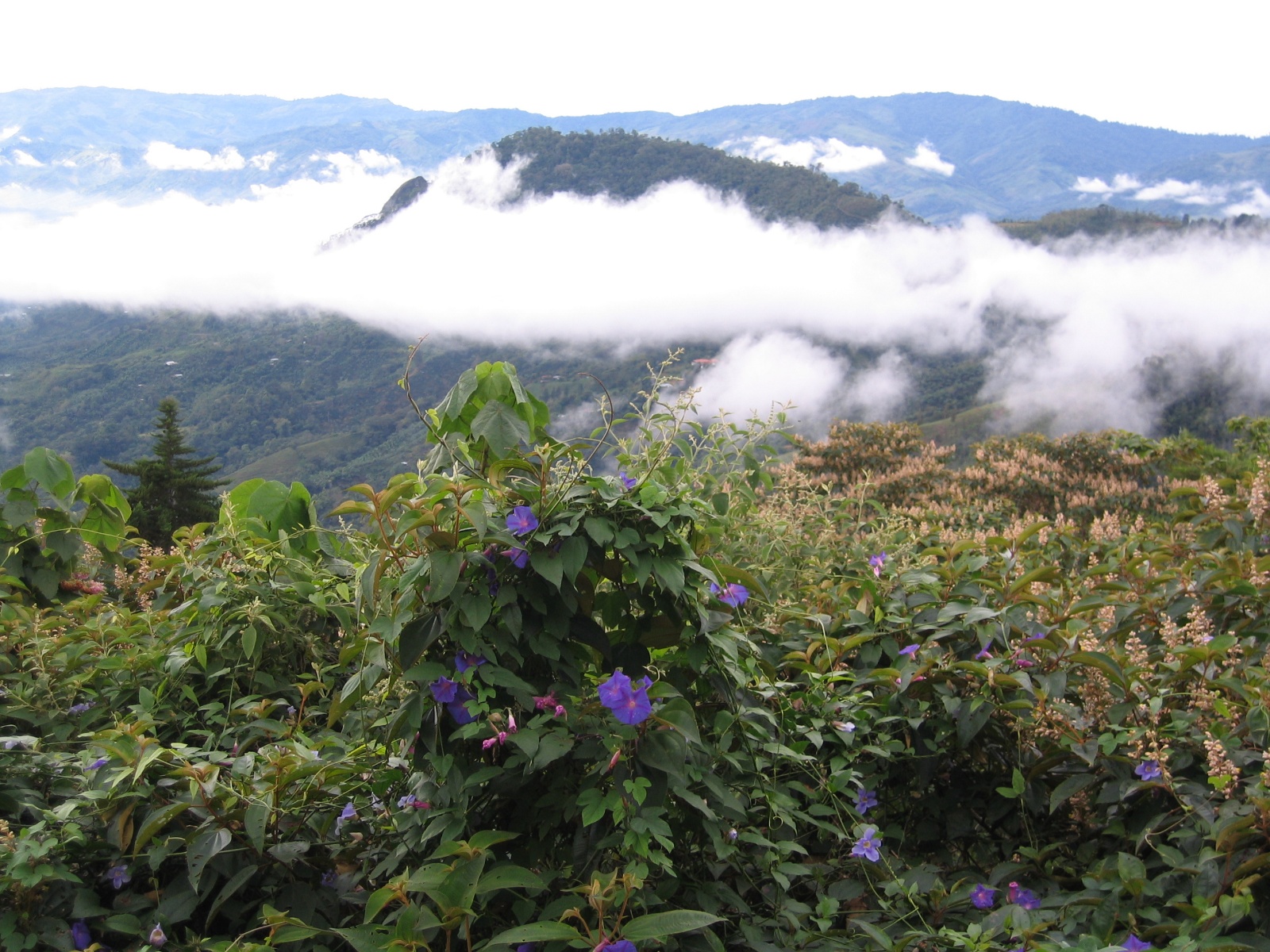 Costarica064