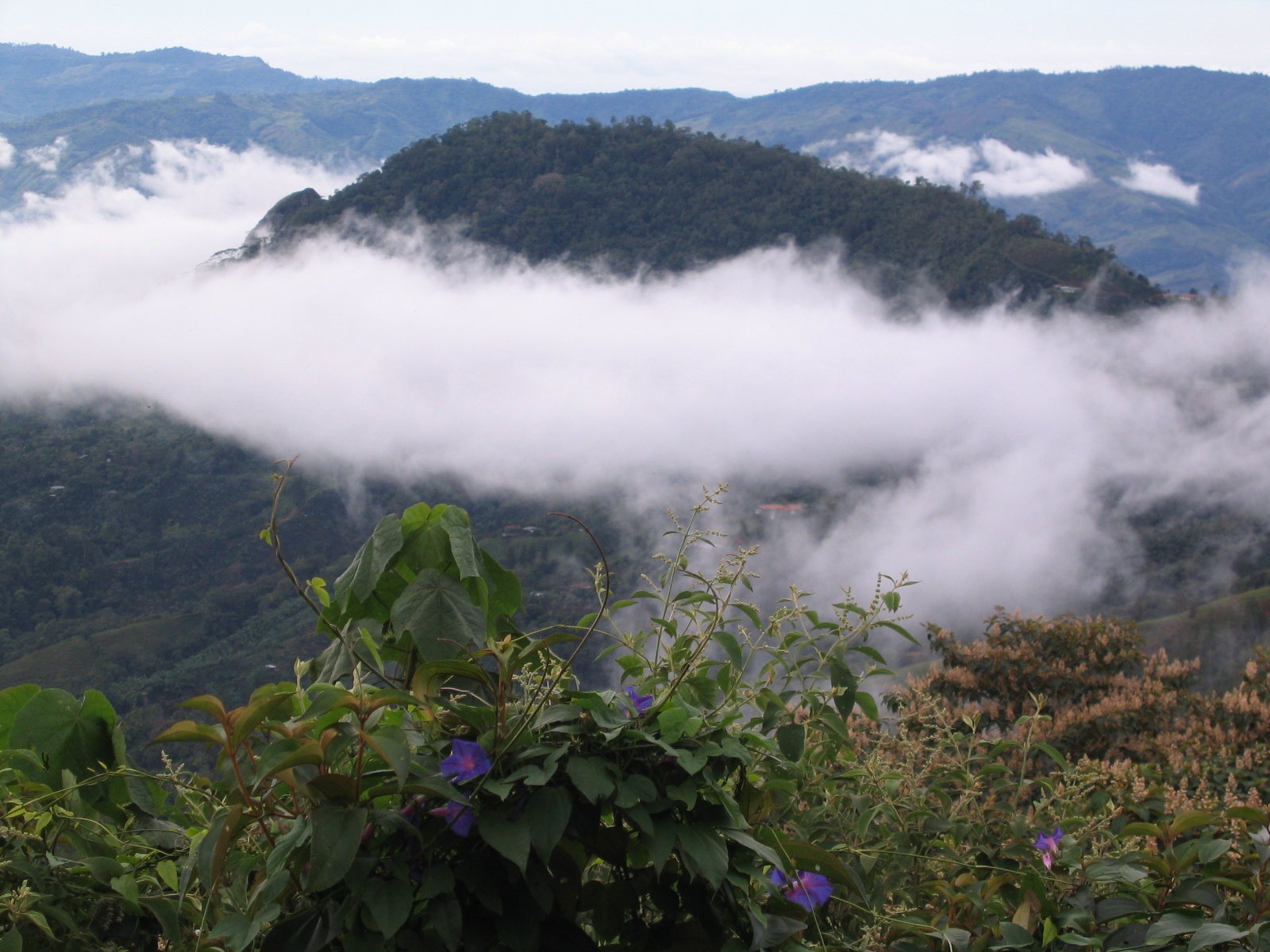 Costarica065